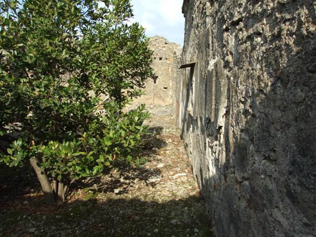 IX.2.21 Pompeii.   March 2009.  Room 11.  Looking east along South wall.