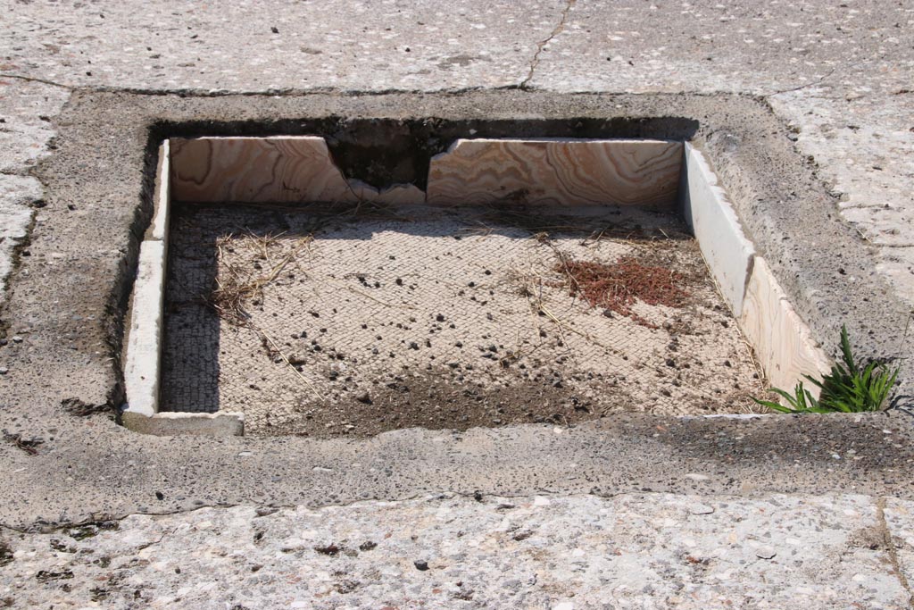 IX.3.22 Pompeii. October 2022. Detail of impluvium, looking west across atrium. Photo courtesy of Klaus Heese. 

