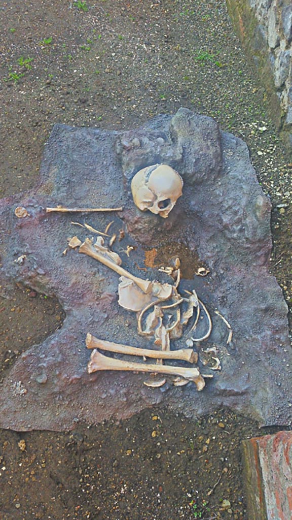 IX.4.18 Pompeii. 2018. Skeleton found outside room “n”. 
Laboratory studies of the skeleton based on the measurement of the long bones and on dental development have allowed the PAP to estimate the age as 7-8 years old.
Photograph © Parco Archeologico di Pompei.
