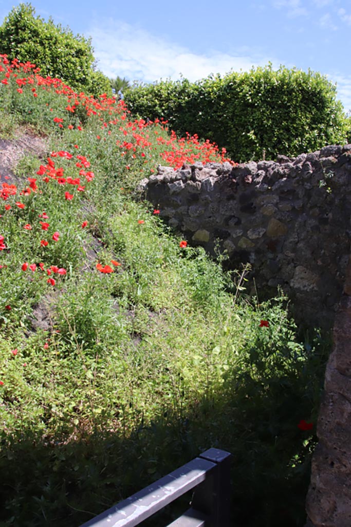 IX.7.14 Pompeii. May 2024. 
Looking south-east from entrance doorway. Photo courtesy of Klause Heese. 
