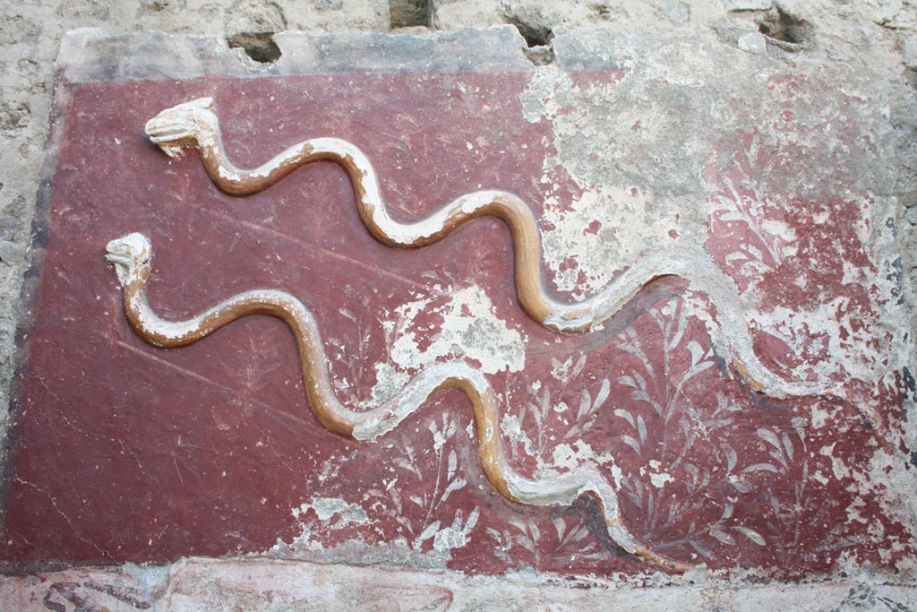 IX.10.1 Pompeii. September 2023. Lararium and altar recently found in room 12.
Stucco snakes from the upper register.
The upper register consists of a red background (1.30 x 2.10 m) surrounded by brown, in which two crested and bearded snakes are represented in stucco relief, among shrubs.
Serpenti in stucco dal registro superiore.
Il registro superiore è costituito da una specchiatura a fondo rosso (1,30 x 2,10 m) contornata di bruno, in cui sono rappresentati in rilievo di stucco due serpenti crestati e barbati, tra arbusti.
See PAP e-journal 6, 28.09.2023, p. 65, fig. 15. Download: PAP e-journals 2023 collection volumes 01-09 
Photograph © Parco Archeologico di Pompei.
