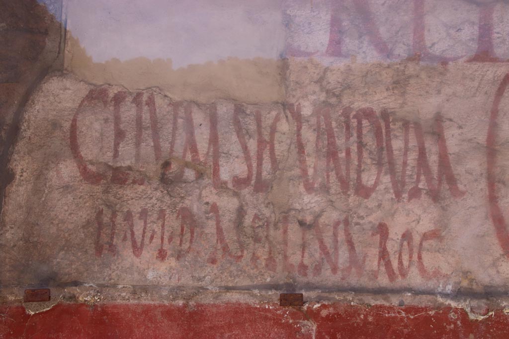IX.11.3 and IX.11.4 Pompeii. May 2016. Detail from graffiti between entrances 3 and 4.
Photo courtesy of Buzz Ferebee.
