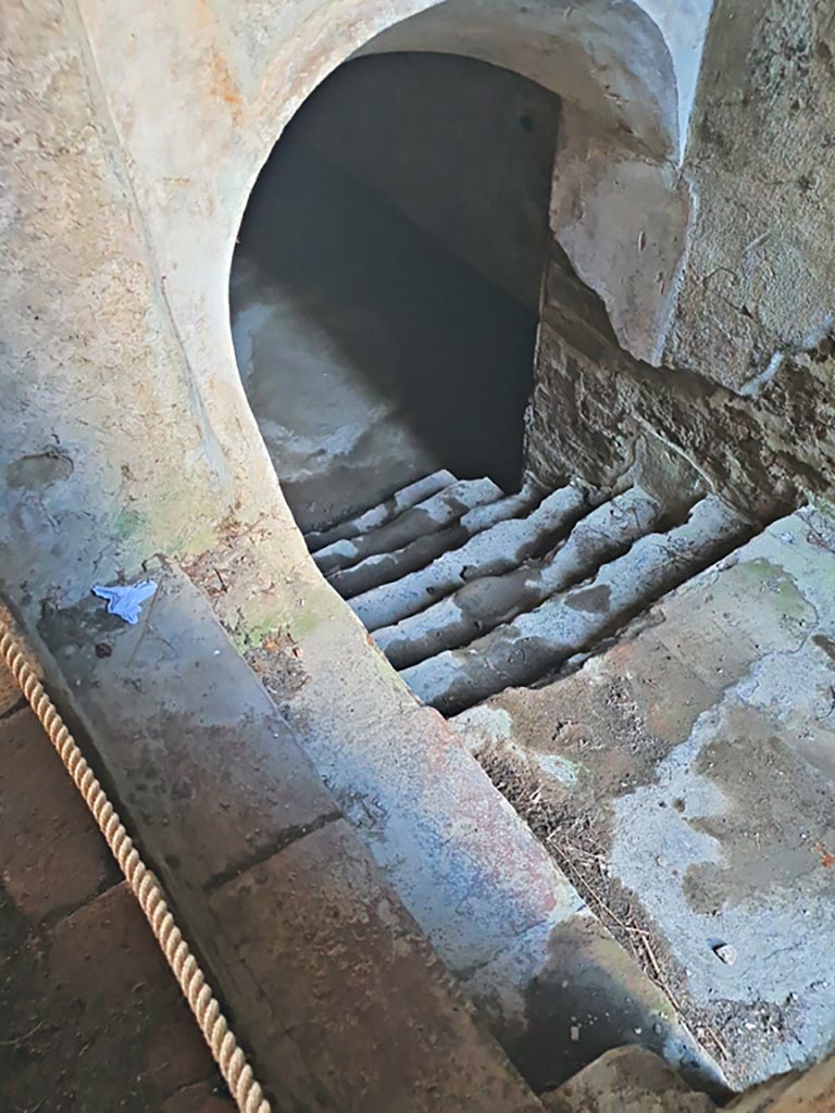 HGW24 Pompeii. Villa of Diomedes. March 2024.
Room 6a, steps to lower level. Photo courtesy of Giuseppe Ciaramella.
