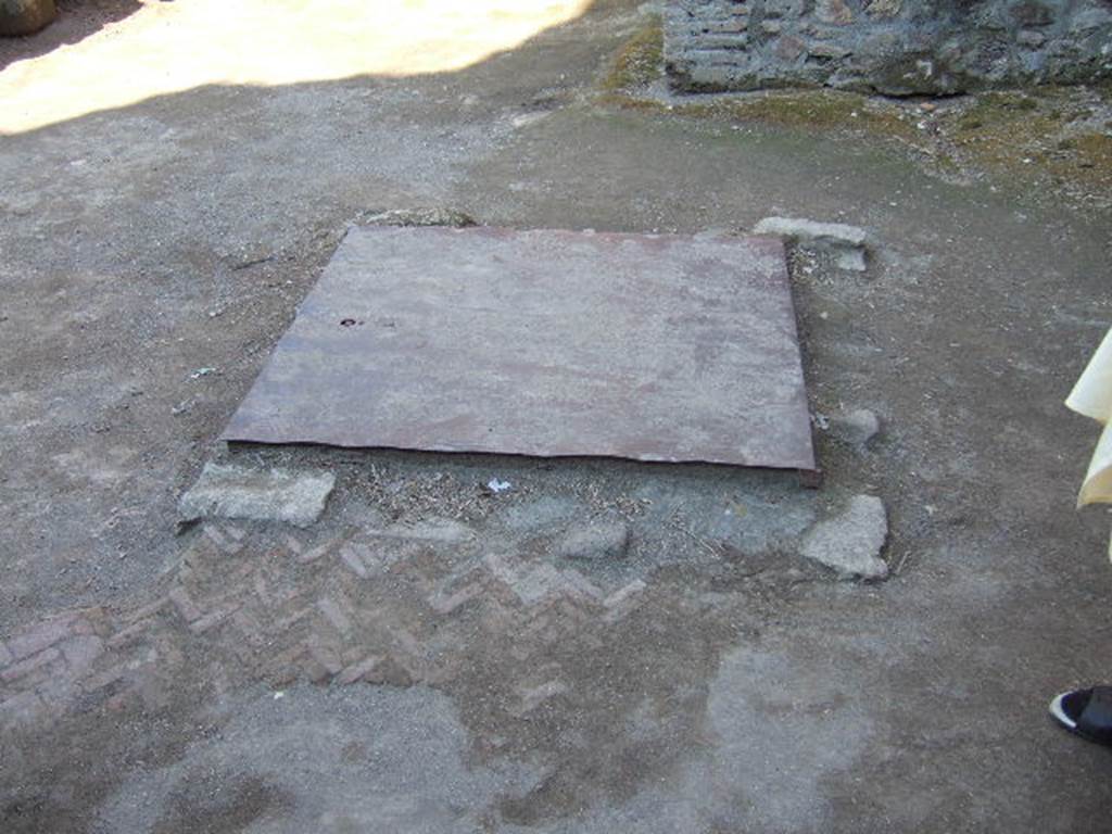 Villa of Mysteries, Pompeii. May 2006. Room 61.