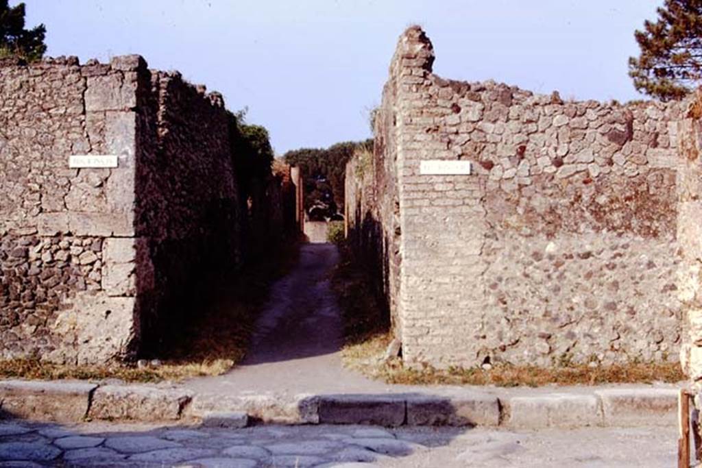 Via della Palestra between II.9 and II.8, Pompeii. 1973. Looking east from the junction with Via di Nocera. Photo by Stanley A. Jashemski. 
Source: The Wilhelmina and Stanley A. Jashemski archive in the University of Maryland Library, Special Collections (See collection page) and made available under the Creative Commons Attribution-Non Commercial License v.4. See Licence and use details. J73f0204
