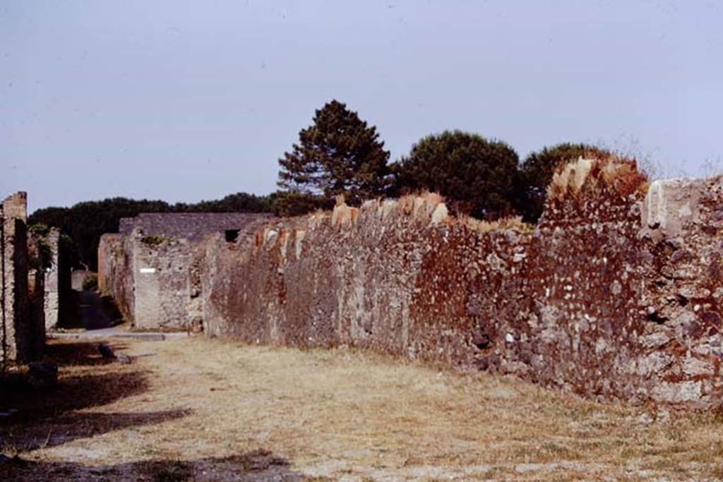 Via della Palestra, Pompeii. 1973. Looking east along exterior north wall of I.20.5 towards Via di Nocera.  Note the addition of the limestone phallus at the end of the wall, on the right.  Photo by Stanley A. Jashemski. 
Source: The Wilhelmina and Stanley A. Jashemski archive in the University of Maryland Library, Special Collections (See collection page) and made available under the Creative Commons Attribution-Non Commercial License v.4. See Licence and use details. J73f0211
