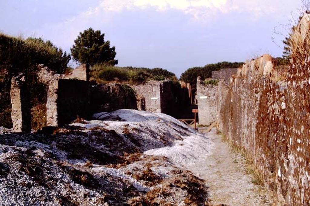 Via della Palestra, Pompeii, 1973. Looking east between I.14 and I.20. Photo by Stanley A. Jashemski. 
Source: The Wilhelmina and Stanley A. Jashemski archive in the University of Maryland Library, Special Collections (See collection page) and made available under the Creative Commons Attribution-Non Commercial License v.4. See Licence and use details. J73f0521
