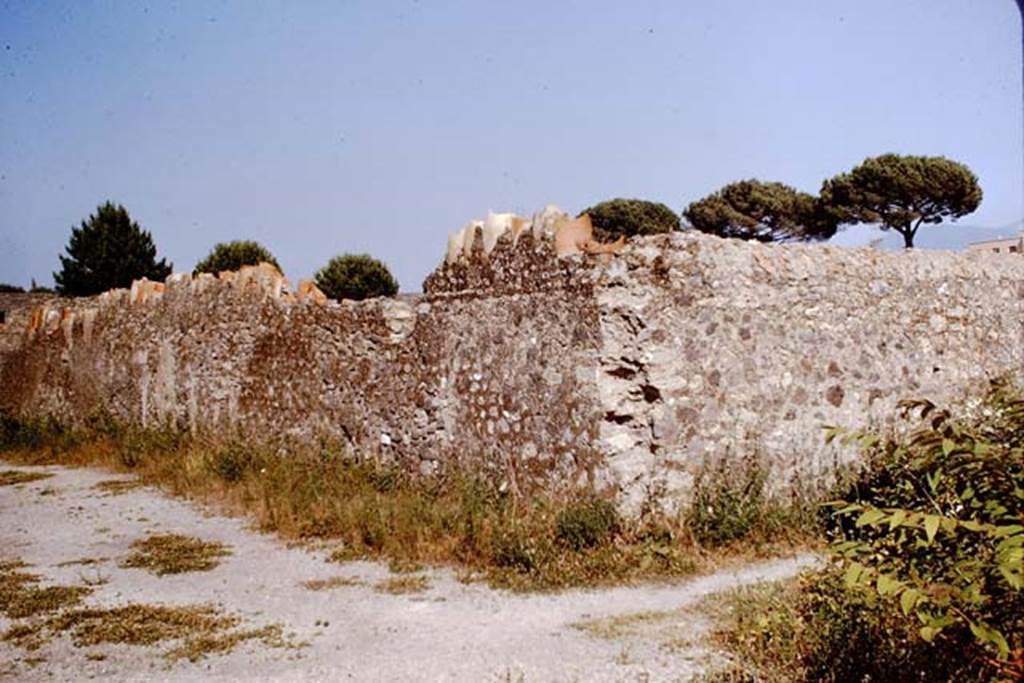 Via della Palestra. Pompeii. 1964. Exterior north wall of I.20.5 (on left), embedded with broken amphorae to protect the garden from thieves. On the right is the west wall of I.20.5 onto Vicolo dei Fuggiaschi. Photo by Stanley A. Jashemski.
Source: The Wilhelmina and Stanley A. Jashemski archive in the University of Maryland Library, Special Collections (See collection page) and made available under the Creative Commons Attribution-Non Commercial License v.4. See Licence and use details. J64f1721
