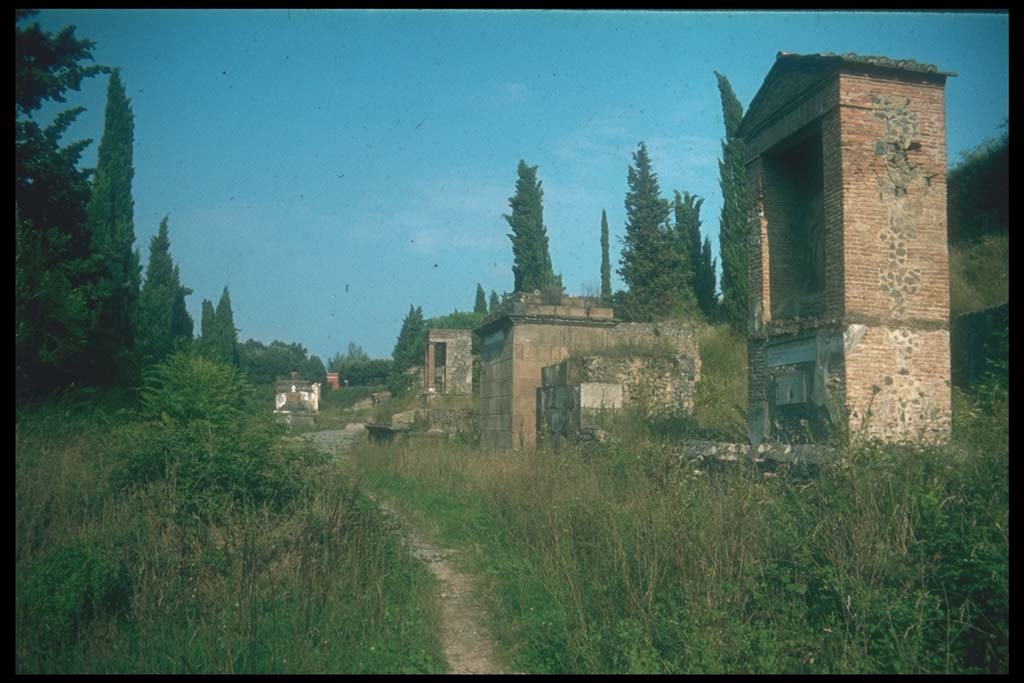 Via delle Tombe, south side. Looking east towards the junction with Via di Nocera, from Tomb 23OS. 
Photographed 1970-79 by Günther Einhorn, picture courtesy of his son Ralf Einhorn.
