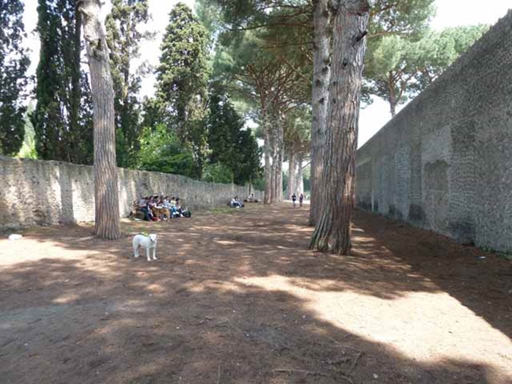 Via di Castricio, May 2010. Looking east between II.4 and II.7.