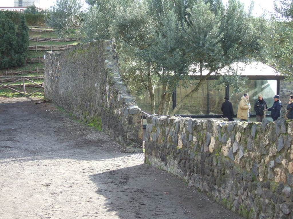 Vicolo dei Fuggiaschi, west side, December 2005. Looking south from I.21.6 the garden of the fugitives. 
