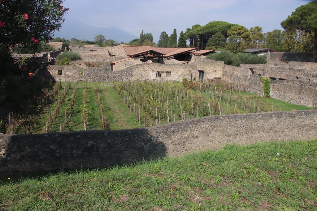 Vicolo dei Fuggiaschi. Pompeii, on left. October 2023. Looking north across I.20.1, with Via di Nocera, on right. Photo courtesy of Klaus Heese.