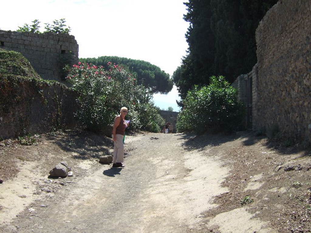 Vicolo dell’ Anfiteatro between II.5 and II.4. Looking south. September 2005.