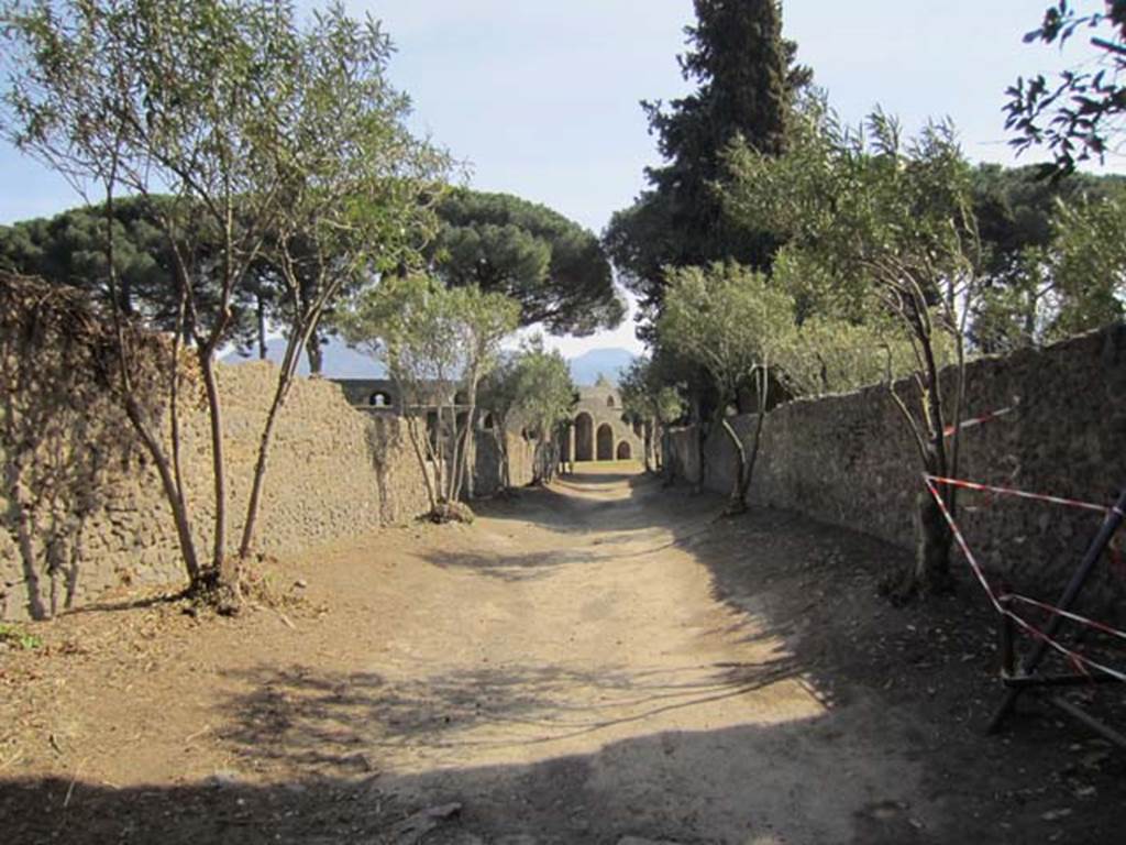 Vicolo del Anfiteatro, March 2012. Looking south between II.5 and II.4. Photo courtesy of Marina Fuxa.