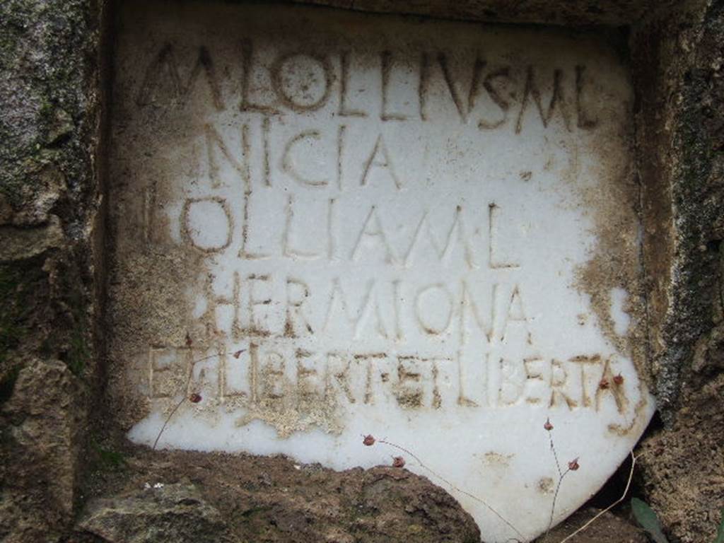 FPNI Pompeii. December 2005. Plaque in centre of south side with inscription.
According to D’Ambrosio and De Caro, this read

M  LOLLIVS  M  L 
NICIA
LOLLIA M  L  
HERMIONA 
ET LIBERT ET LIBERTA.

They expand this to

M(arcus)  Lollius  M(arci)  l(ibertus) 
Nicia
Lollia M(arci)  l(iberta)  
Hermiona 
et libert(i) et Liberta(e).

See D’Ambrosio A. and De Caro S., 1988. Römische Gräberstraßen. München: C.H.Beck. p. 214.