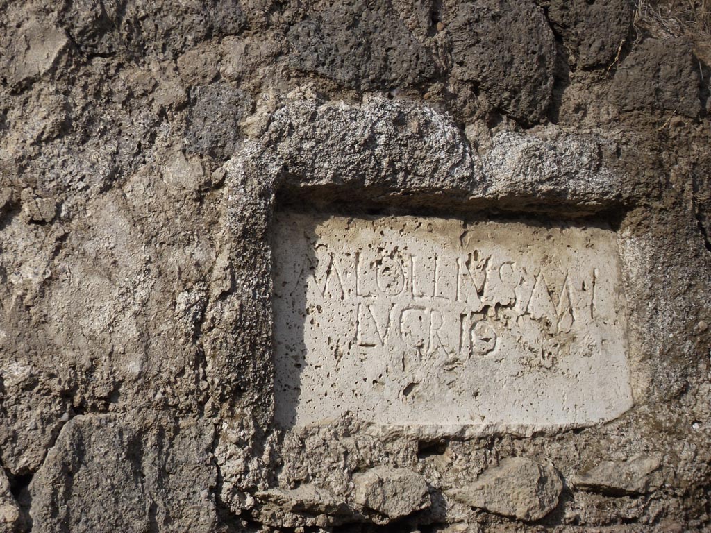 FPNI Pompeii. August 2011. Photo courtesy of Peter Gurney.
Plaque on east end of south side with inscription:

M. LOLLIVS M L 
LVCRIO.
