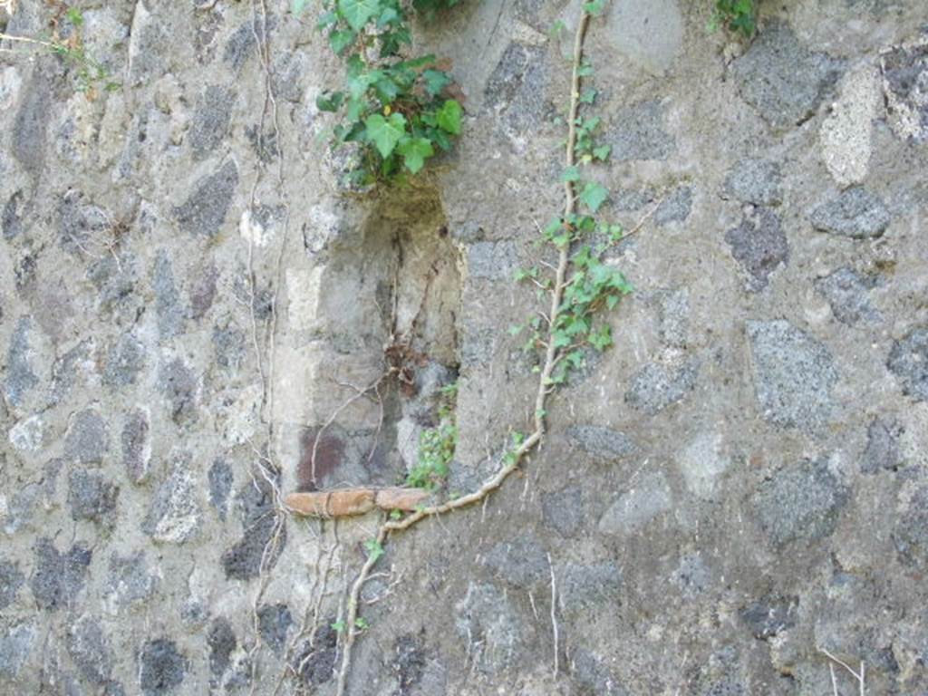 HGE21 Pompeii. May 2006. Niche in south wall of shop-room.