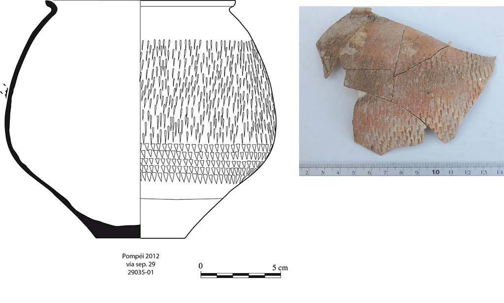 Fig. 7 - Pompi. Gobelet  paroi fine mis au jour dans le niveau de lapillli de la pice 1.
A. Lacombe, G. Stelo. 
