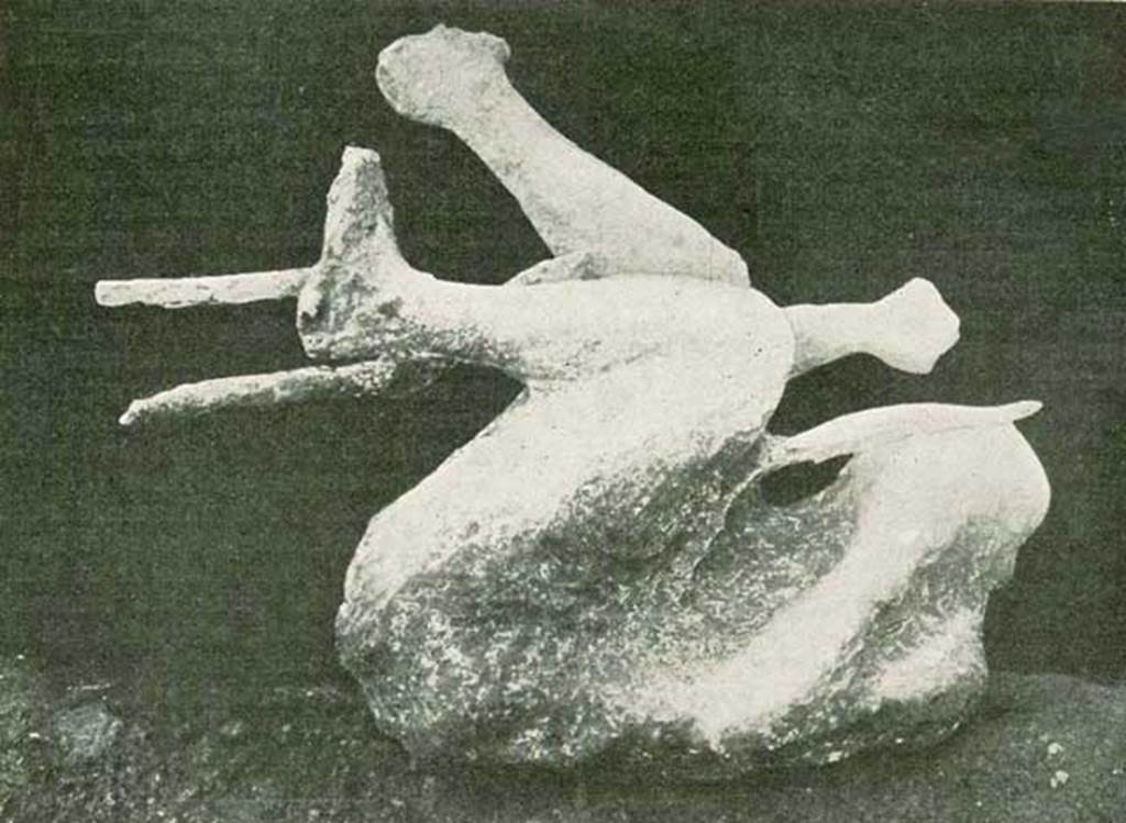 NGG Pompeii. 1912 photo of a cast made in 1911 of a man found holding a tree branch. 
It is presumed the victim was climbing the tree to try to escape his fate.
The body was found 15.5m from the south-east corner of the enclosure on the side of the schola tomb.
See Notizie degli Scavi di Antichit, 1911, p. 459-460, fig. 2.
Photo courtesy of Rick Bauer.
