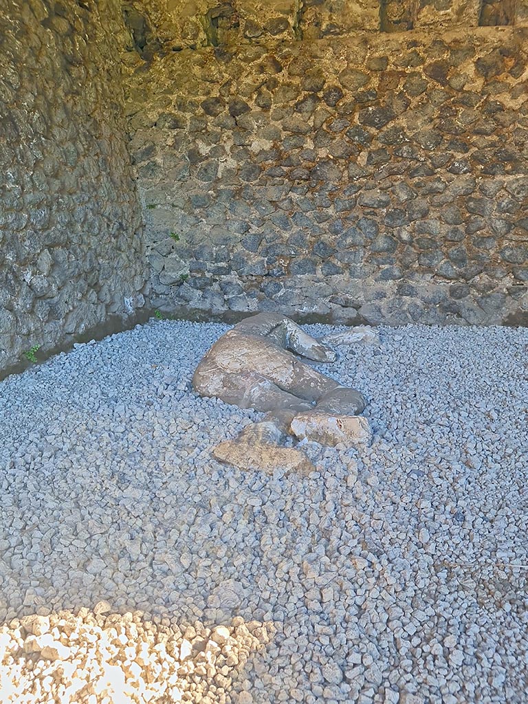 North-west side of Via delle Tombe. October 2024. 
Plaster cast of a teenager. Photo courtesy of Giuseppe Ciaramella.
