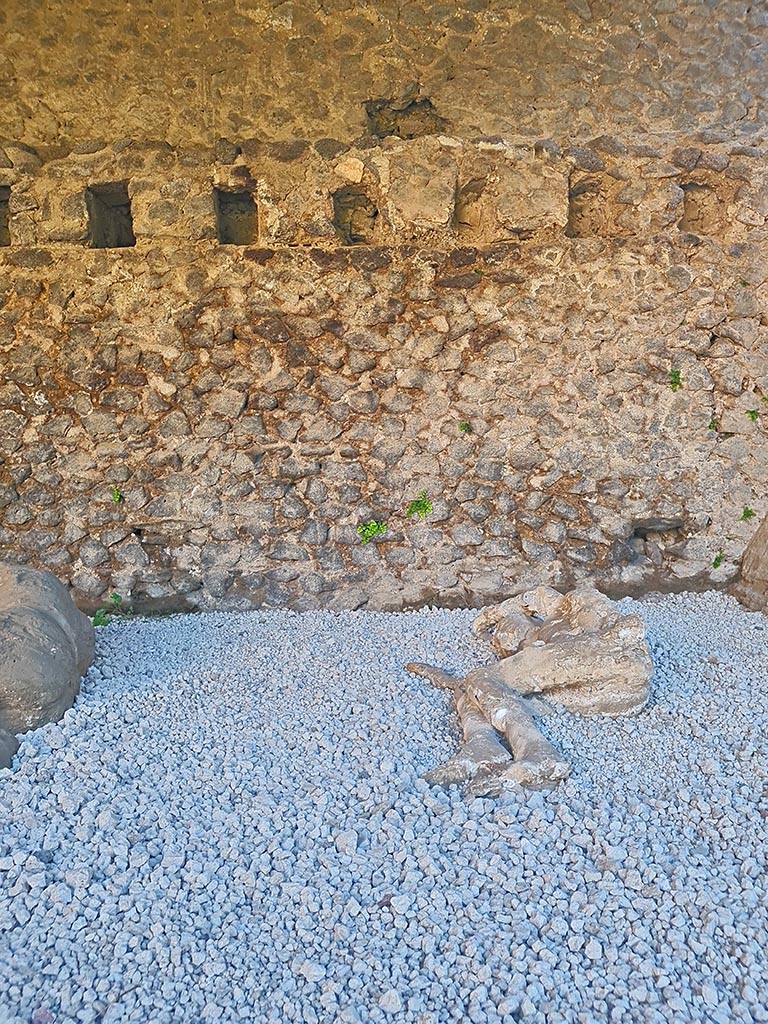 North-west side of Via delle Tombe. October 2024. 
Plaster cast of a boy aged between 7 and 19 years. Photo courtesy of Giuseppe Ciaramella.

