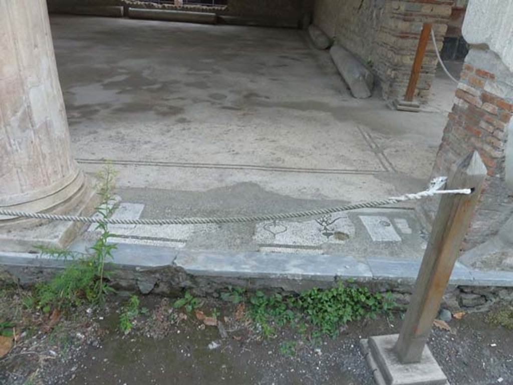 Oplontis, September 2015. Room 21, looking south towards mosaic threshold on west (right) side.