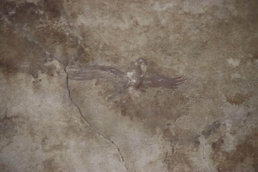 Oplontis Villa of Poppea, May 2024. 
Portico 40, detail of painted bird from centre of panel on upper north wall in north-east corner. Photo courtesy of Klaus Heese.
