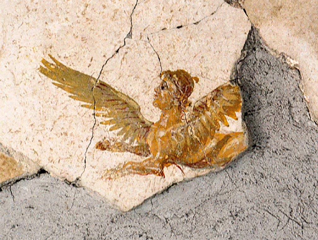 Stabiae, Secondo Complesso, Room 19, detail of winged sphinx from ceiling, in situ.
See Guida Stabiae, Scavi archeologici di Stabiae, p. 13.
