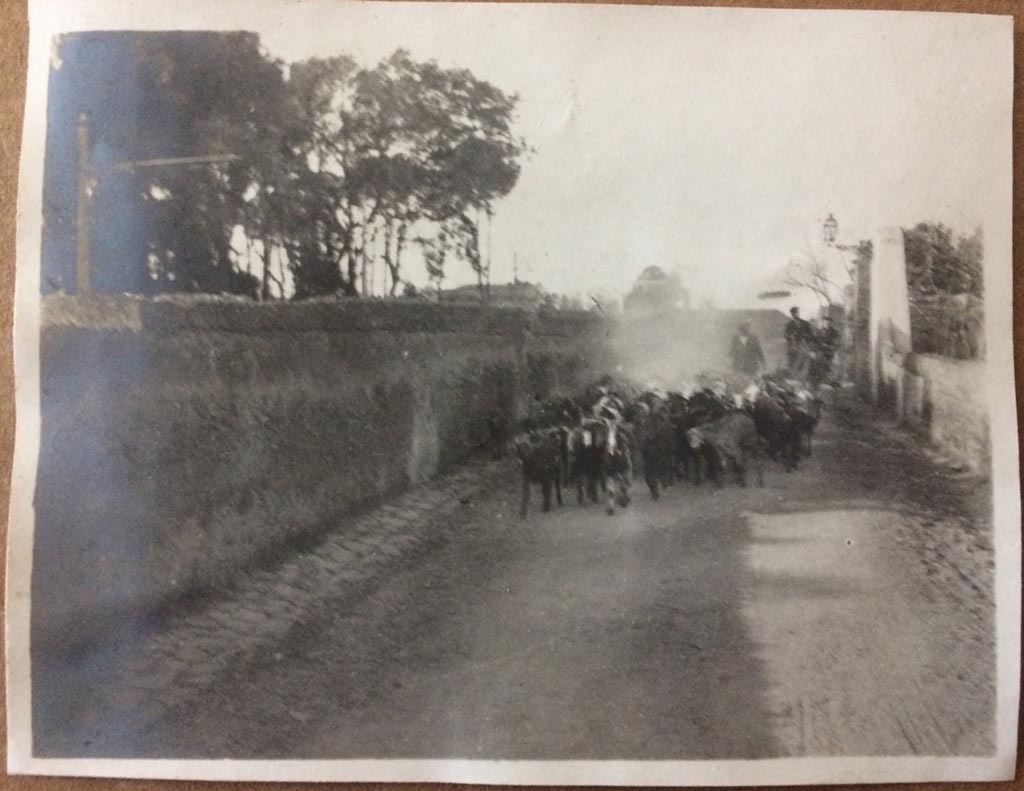 Vesuvius, August 27, 1904. Photo from back of carriage on road to Pompeii. Photo courtesy of Rick Bauer.