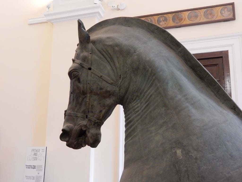 Arch of Caligula, Pompeii. June 2019. Detail of head of bronze horse. 
Now in Naples Archaeological Museum. Photo courtesy of Buzz Ferebee.

